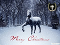 Новогодняя лошадь